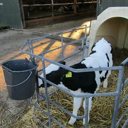 Bauernhof Rickerts * Vollerwiek